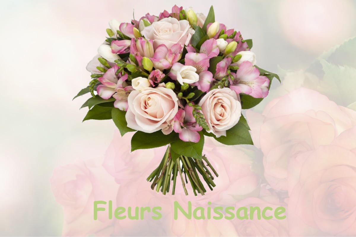 fleurs naissance VIELLE-SAINT-GIRONS