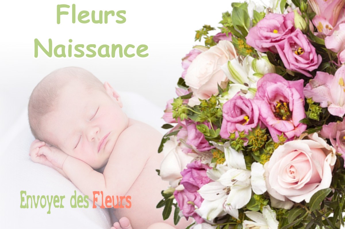 lIVRAISON FLEURS NAISSANCE à VIELLE-SAINT-GIRONS